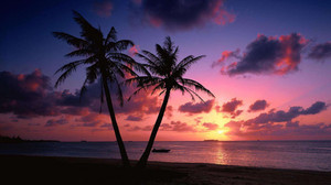 巴哈马游记图文-粉色的情怀，粉色的梦；粉色的旅途，粉色的你