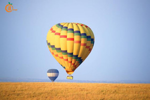 马赛马拉国家公园游记图文-全球最贵热气球，人均3000元，足以铭记一生的回忆！