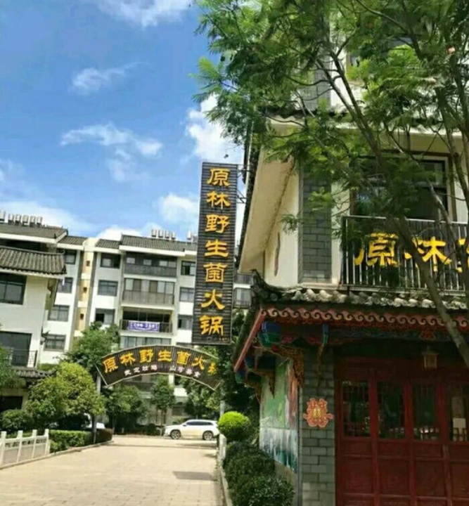 武定原林野生菌火锅(罗婺彝寨店)餐厅图片