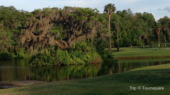 University Of South Florida Botanical Gardens Tampa Travel