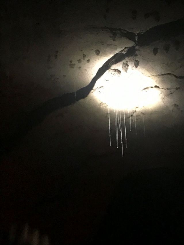 懷托摩螢火蟲洞