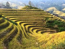 龙脊梯田风景名胜区-金坑梯田-龙胜-lian0909