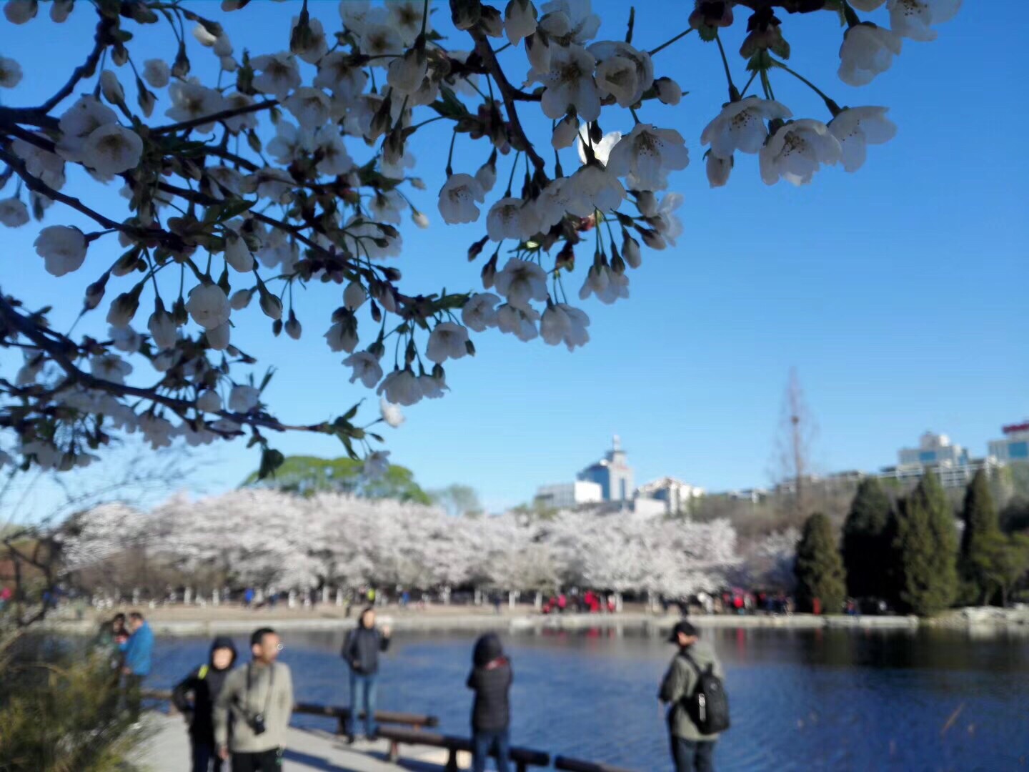安定湖公园