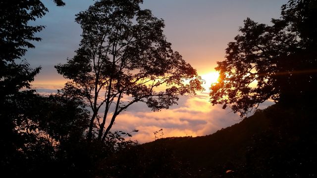 鬼谷嶺國家森林公園