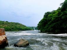 Murchison Falls National Park-Nwoya-juki235