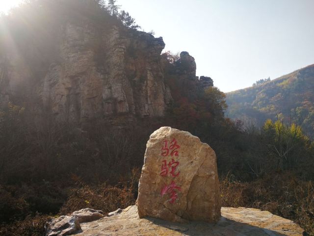 核伙沟森林公园旅行图片 8