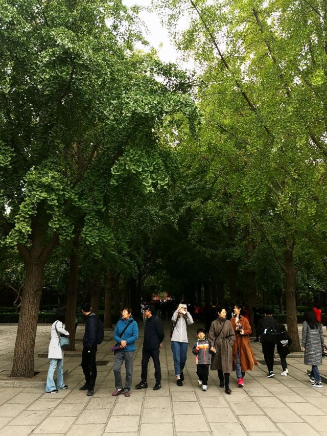 Yonghe Temple