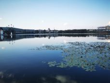 公园1903-昆明-YoYo_2D7U6Q5T