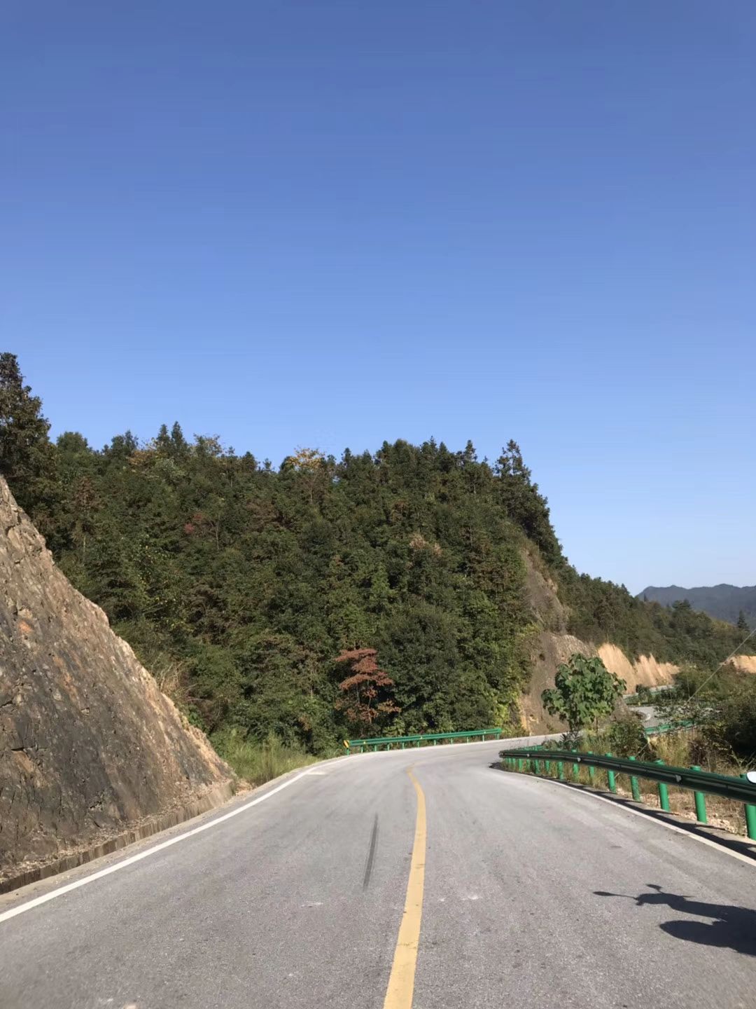 酒埠江林场