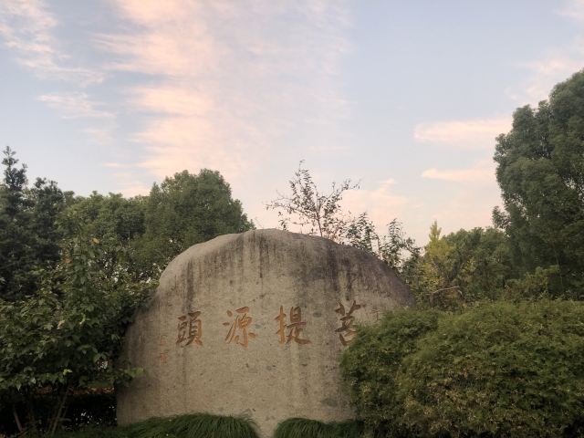 菩提禅寺旅行图片 4