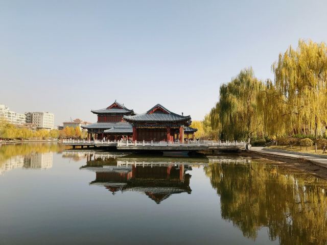 雁滩公园旅行图片 7