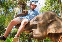 梭桃邑旅游图片-5日曼谷+芭堤雅+格兰岛·水上市场+骑大象+人妖秀