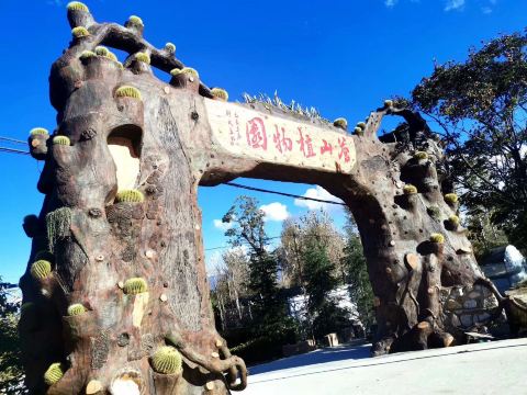 大理苍山植物园