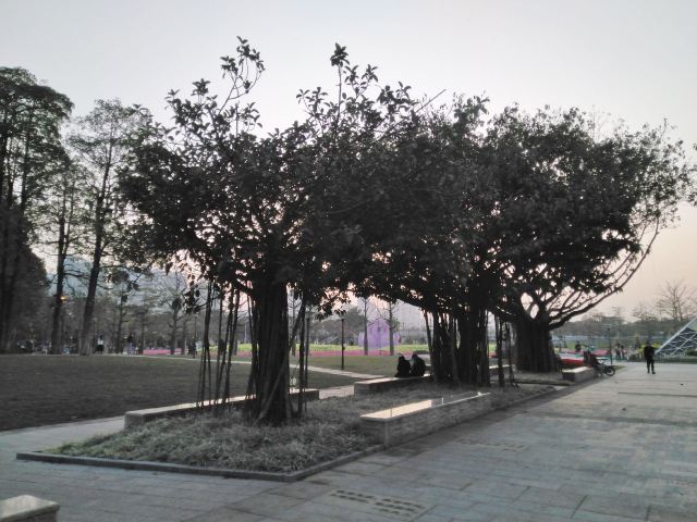 Hongcheng Park (East Gate)