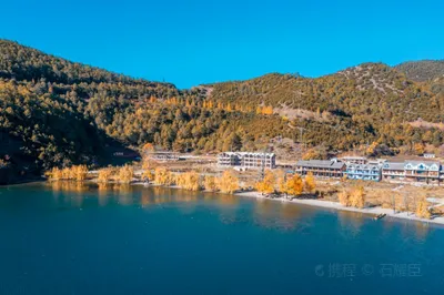 尼赛村