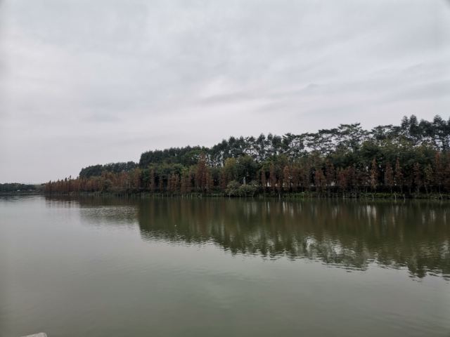 华阳湖国家湿地公园旅行图片 7