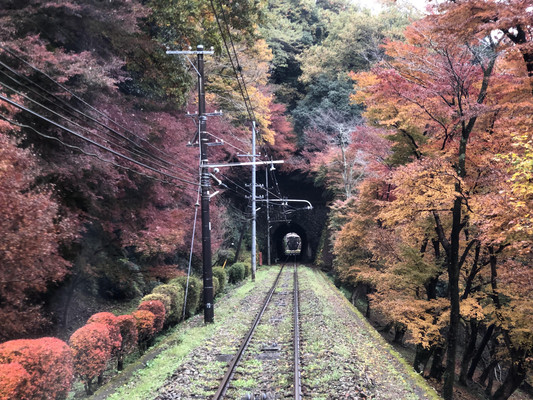 枫澜绚——2019秋日本行琐记 6、双山记