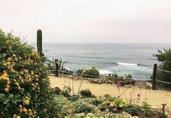 Self Realization Fellowship Hermitage Meditation Gardens Travel