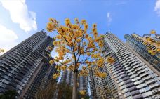 珠江公园-广州-YoYo_2D8I7D0H