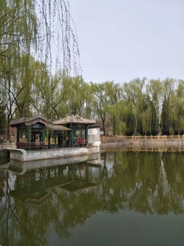 兴隆公园旅行图片 1