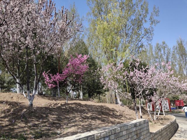 奥北森林公园二期北区旅行图片 6