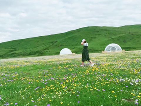 疫情后的四川,首选去哪玩呢?川西花海这里景美人少~