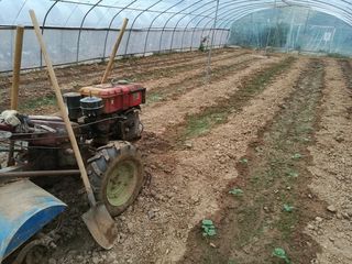 春天了，好像去爬山！怀念去年的林州大峡谷！