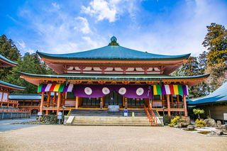 日本自由行8000块轻松玩儿~骨灰级攻略·解决你出行前的担心丨出行前先来这囤货！