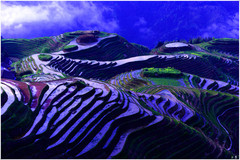 龙脊梯田游记图片] 向春天出发——2019,3，自驾，踏春（九）龙胜-龙脊梯田。