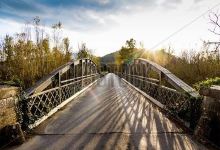 Old Steel Road Bridge景点图片