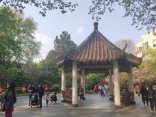 襄阳公园-上海-是小孟呀