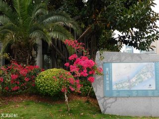 厦门白鹭洲公园随拍