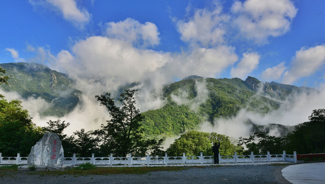 终南岭深秀，青山绿水天然氧吧牛背梁去“森呼吸”！