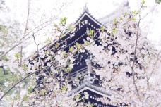 金戒光明寺-京都-doris圈圈