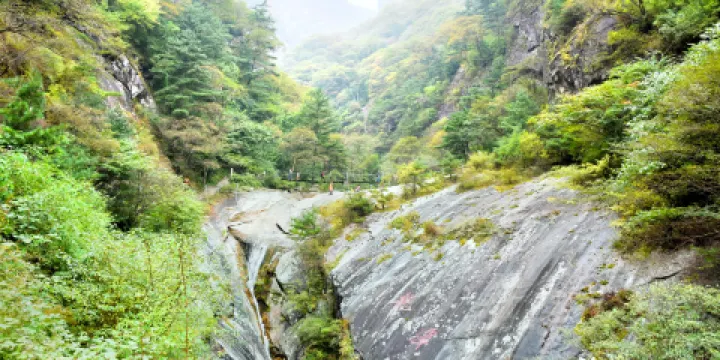 朱雀國家森林公園