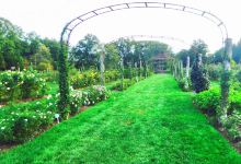 Elizabeth Park Conservancy景点图片