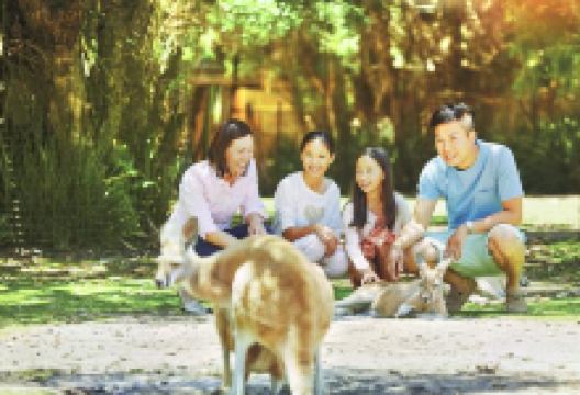 凯维森野生动物园景点图片