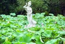 雀儿山公园景点图片