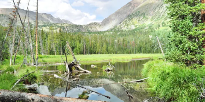 布雷根里基公園
