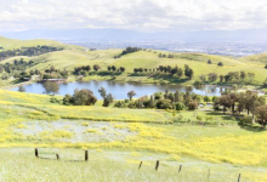 艾德莱文县公园景点图片