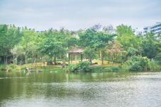 霞湖公园-湛江-doris圈圈