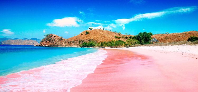 Komodo Island travel guidebook –must visit attractions in Komodo