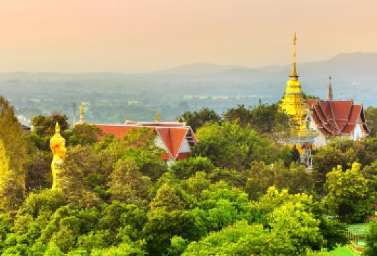 清迈素贴山+乌孟寺半日游【贴心导游】