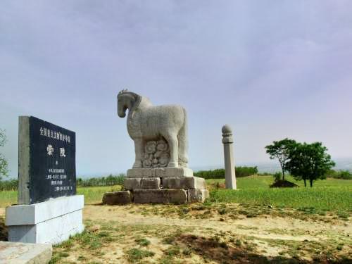 唐崇陵