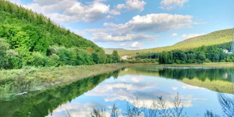 牡丹峯國家森林公園