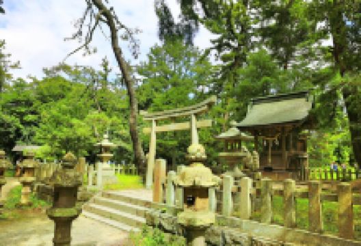 Amanohashidate Shrine景点图片