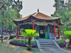 卧龙岗-南阳-轻快的行走脚步