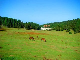 重庆旅游：从仙女山到芙蓉洞（图）