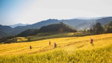 欧家梯田-连山-C-IMAGE