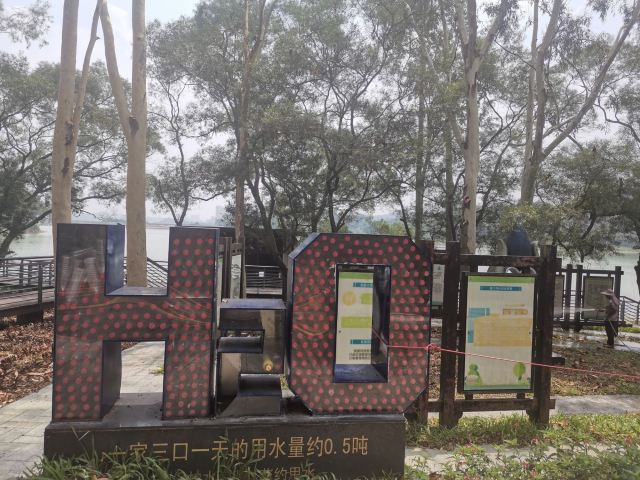 金钟水库旅行图片 8